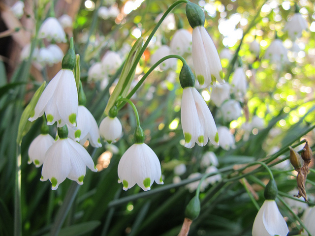 9446598493_7d0a82cbb1_z