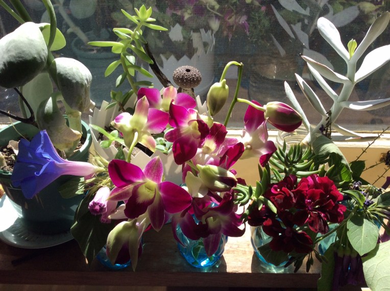 lorainecallow window 1