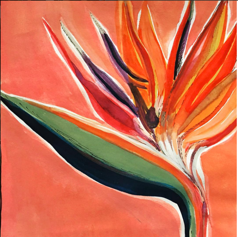 Strelitzia Lorainecallowdesigns