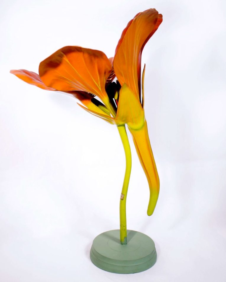 1921-54_nasturnium1-821x1024